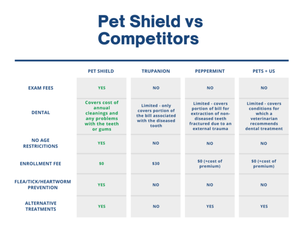 Does My Pet Insurance Cover Dental? - Pet Shield Insurance